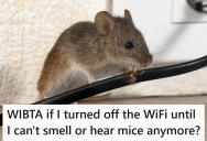 His Wife Won’t Help Keep The House Clean To Solve Their Mice Problem, So Now He’s Considering Holding The Internet Hostage