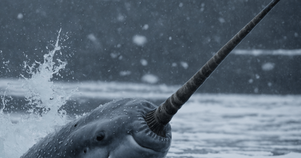 Source: Shutterstock