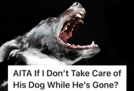 When Her Boyfriend Unexpectedly Joins The Army, This Pregnant Woman Puts Her Foot Down When It Comes To Taking Care Of A Newborn Baby On Her Own And Taking Care Of His Dog