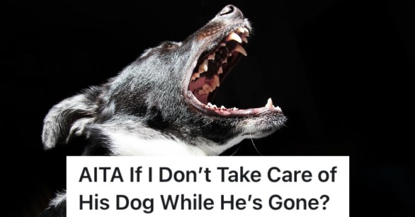 Black and white dog barking aggressively