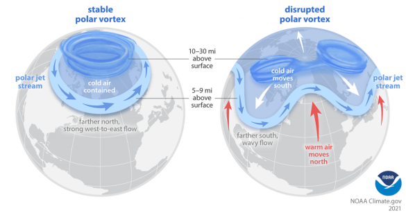 Polar Vortex Graphic
