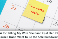 Married Couple Were Both Working, But Now She Wants To Quit And Leave Earning A Living To Him