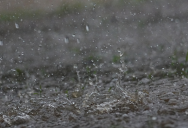 232 Million Years Ago It Started Raining And Didn’t Stop For Nearly 2 Million Years