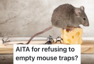Woman Does A Lot Of The Chores In Her Household, But She Told Her Husband She Won’t Take Care Of The Mouse Traps