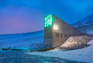 More Than 14,000 New Seeds Added To The Largest “Doomsday” Vault To Help Preserve Genetic Diversity For The Future