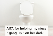 She Joked With Her Niece About Dad Leaving The Toilet Seat Up, But Now She’s In Trouble For Interfering With Their Parenting