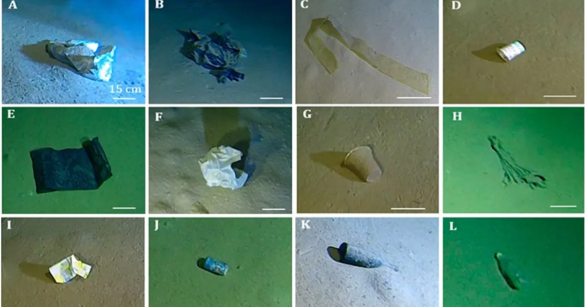 Source: Marine Pollution Bulletin 2025 (CC By 4.0)
