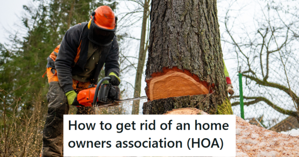 man cutting down tree with chainsaw