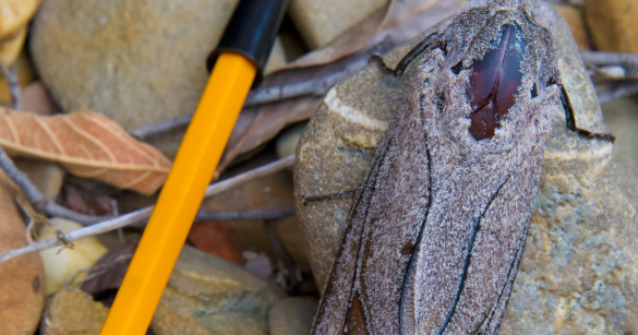 Source: Shutterstock