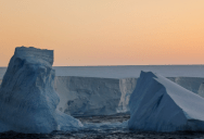 The Biggest Iceberg In The World Traveled Miles From Antarctica To Crash Into A Remote British Island