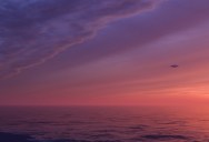 There’s A Physical UFO Office At The FBI… At Least For Now