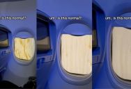 Nervous Flyer Wants To Know If The Brown Liquid Flowing Down An Airplane Window Is Normal