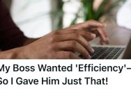 His Boss Wanted To Speed Up Their Work, But The Checks And Balances He Removed Got Him In Hot Water With The Top Brass