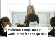 This IT Professional Put In Her Two Weeks Notice, And Sent All ID’s And Passwords To The Departing COO. So The CEO Locked Out Of All Systems.