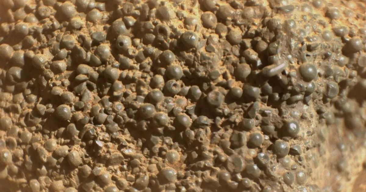 Martian rock with Rounded Formations