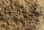 Unusual And Unexpected Rock Formations Found By The NASA Perseverance On Mars