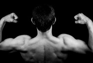 Scientists Explain Why The Brain Is Actually Not Dissimilar From Your Biceps Or Abs – At Least At A Molecular Level