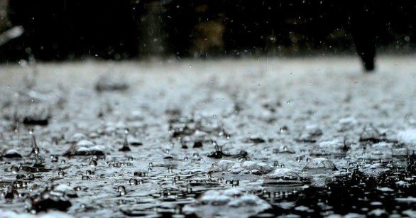 Raindrops falling on the pavement