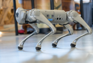 Robot Dog Successfully Completes A Grueling Marathon, Becoming The First Robot To Accomplish This Amazing Feat