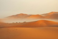 The Most Famous Desert In The World Is Far Less Sandy Than You Might Think