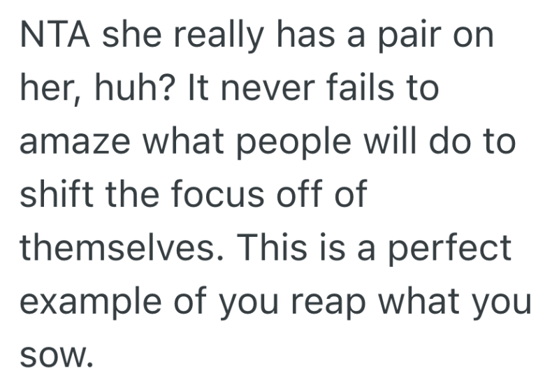 Screenshot 2025 04 03 at 9.05.54 AM e1743685636336 She Refused To Cover A Shift For A Coworker Who Lies About Her, But Now Theyre Calling Her Petty