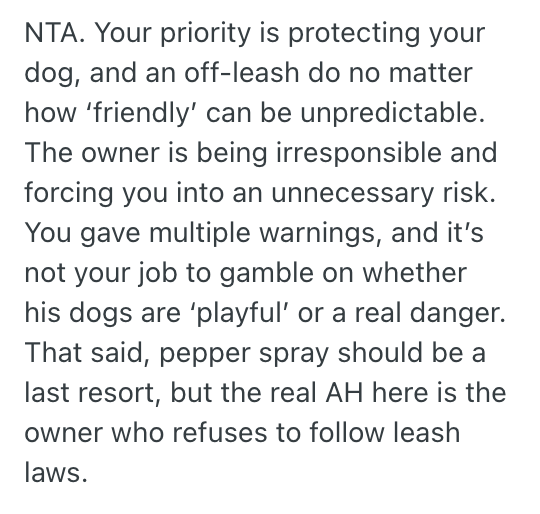 Screenshot 2025 04 04 at 1.50.59 AM Man Felt Threatened By Off Leash Dogs In The Park Getting Too Close To His Small Dog, So He Pulled Out The Pepper Spray