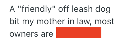 Screenshot 2025 04 04 at 1.51.22 AM Man Felt Threatened By Off Leash Dogs In The Park Getting Too Close To His Small Dog, So He Pulled Out The Pepper Spray