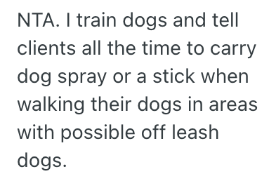 Screenshot 2025 04 04 at 1.52.12 AM e1743703026844 Man Felt Threatened By Off Leash Dogs In The Park Getting Too Close To His Small Dog, So He Pulled Out The Pepper Spray