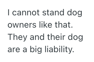 Screenshot 2025 04 04 at 1.52.33 AM Man Felt Threatened By Off Leash Dogs In The Park Getting Too Close To His Small Dog, So He Pulled Out The Pepper Spray