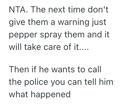 Screenshot 2025 04 04 at 1.53.07 AM Man Felt Threatened By Off Leash Dogs In The Park Getting Too Close To His Small Dog, So He Pulled Out The Pepper Spray