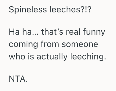 Screenshot 2025 04 07 at 1.56.09 PM Woman Is Annoyed That Her Neighbors Treat Her Like A Free Babysitter, So She Refused To Look After Their Twins