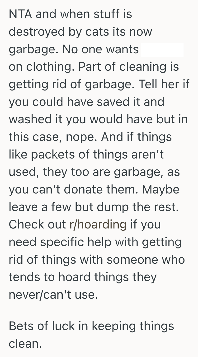 Screenshot 2025 04 09 at 11.46.28 AM Kid Tried To Declutter A Smelly, Dirty Hamper, But Their Hoarder Mother Took The Trash Bag As A Betrayal