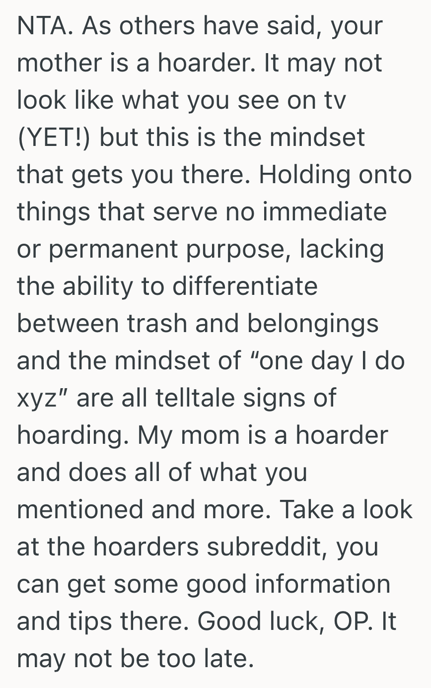 Screenshot 2025 04 09 at 11.52.00 AM Kid Tried To Declutter A Smelly, Dirty Hamper, But Their Hoarder Mother Took The Trash Bag As A Betrayal