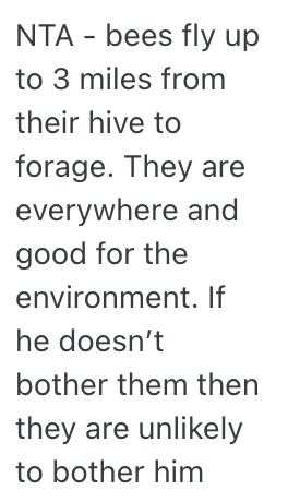 Screenshot 2025 04 10 at 10.28.34 AM New Neighbors Want Them To Get Rid Of Their Bees Because Their Son Is Highly Allergic, But They Refuse To Do It