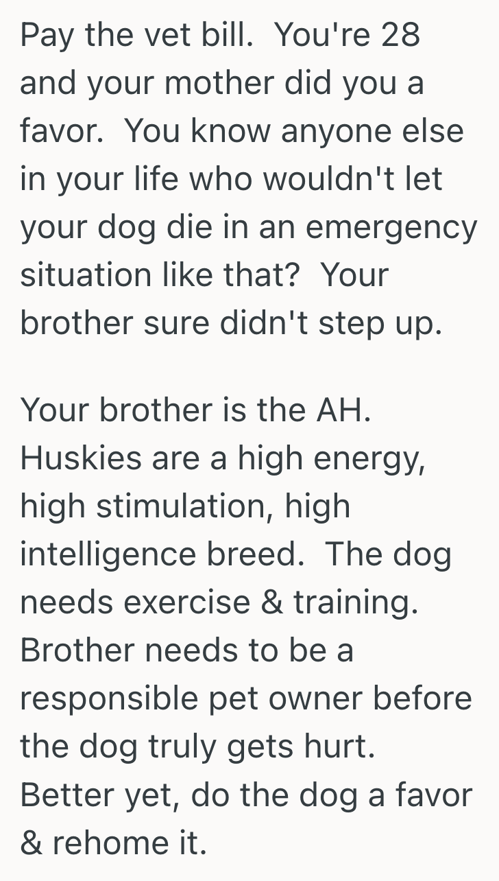 Screenshot 2025 04 11 at 12.22.53 PM An Unsupervised Dogs Antics Led To An Emergency Vet Visit, And The Aftermath Turned Into A Shared Blame Game Between Siblings