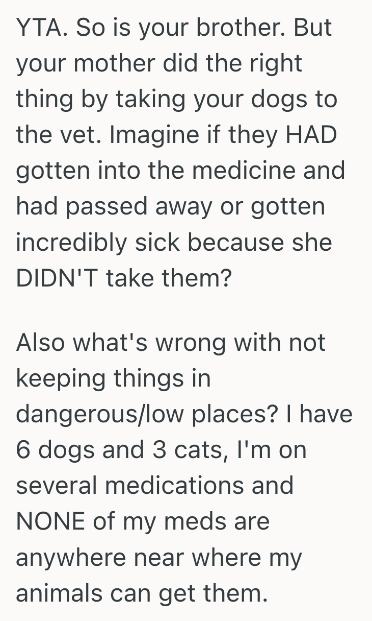 Screenshot 2025 04 11 at 12.23.42 PM An Unsupervised Dogs Antics Led To An Emergency Vet Visit, And The Aftermath Turned Into A Shared Blame Game Between Siblings