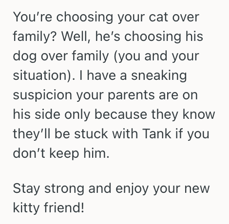Screenshot 2025 04 17 at 11.47.47 AM Her Brother Asked Her To Watch His Dog For A Few Days, But She Said No Because Shes Scared For Her Cat’s Safety