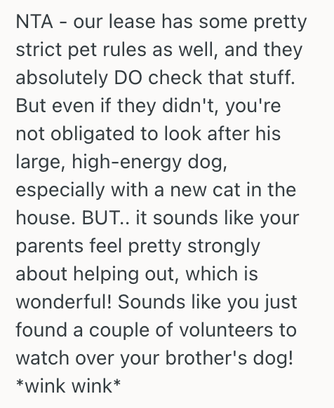 Screenshot 2025 04 17 at 11.48.33 AM Her Brother Asked Her To Watch His Dog For A Few Days, But She Said No Because Shes Scared For Her Cat’s Safety