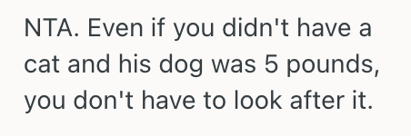 Screenshot 2025 04 17 at 11.48.54 AM Her Brother Asked Her To Watch His Dog For A Few Days, But She Said No Because Shes Scared For Her Cat’s Safety