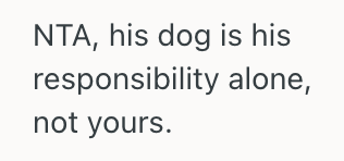 Screenshot 2025 04 17 at 11.49.38 AM Her Brother Asked Her To Watch His Dog For A Few Days, But She Said No Because Shes Scared For Her Cat’s Safety