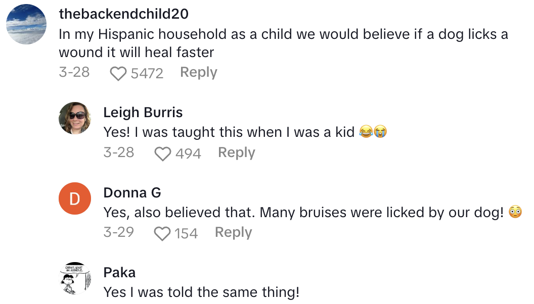 Screenshot 2025 04 17 at 4.20.55 PM Doctor Said Its Not A Good Idea To Let Your Dog Lick Your Face