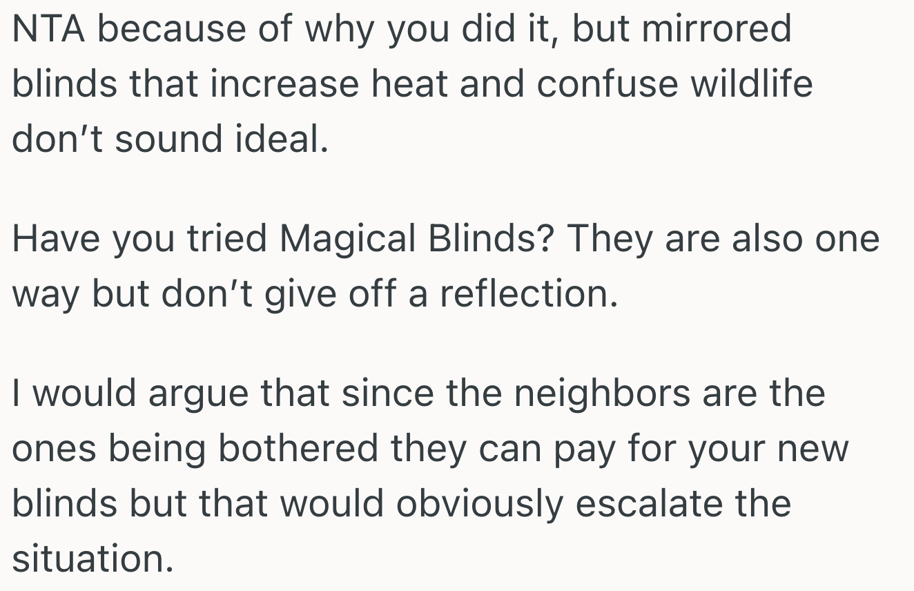 Screenshot 2025 04 24 at 3.03.10 PM Neighbor Wont Stop Looking In Her Windows, So She Covered Them With Ugly One Way Mirrors