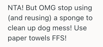 Screenshot 2025 04 24 at 3.13.45 PM Man Scolded His Partner For Using A Dirty Sponge To Clean The Dogs’ Bowls, So Now Shes Upset And Called Him Patronizing