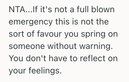 Screenshot 2025 04 26 at 2.06.13 PM His Brother Asked Him To Pick Up His Niece From Daycare, But This Man Refused Saying He Has No Experience With Children