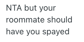 Screenshot 2025 04 27 at 7.25.01 PM Her Cat Kept Inconveniencing Her After It Had Its Kittens, So This Woman Wrote A Hilarious Story From Her Cats Perspective