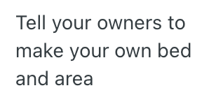 Screenshot 2025 04 27 at 7.25.35 PM Her Cat Kept Inconveniencing Her After It Had Its Kittens, So This Woman Wrote A Hilarious Story From Her Cats Perspective