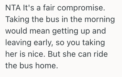 Screenshot 2025 04 29 at 1.43.32 AM Man Gives His Girlfriend A Ride To And From Work Every Day, But He Wants Her To Start Taking The Bus Home