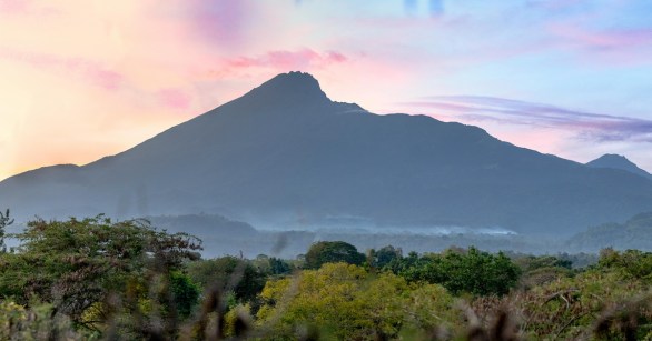 A mountain behind a forest in Tanzania