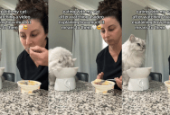 Eating With Your Cat Really Means A Lot To Them, And The Trend Is Catching On