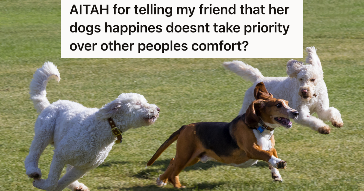 Teenager Is Scared Of Dogs, But Has To Walk Through A Field With Unleashed Dogs To Get To School. Now Her Dog Owner Friend Is Twisting Her Words To Play Victim To Their Friends.